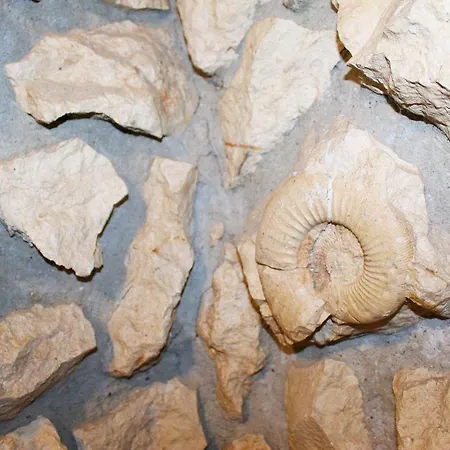 Fully Equipped * Bonnigheim