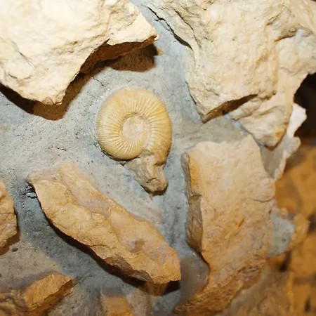 Apartman Fully Equipped Bönnigheim